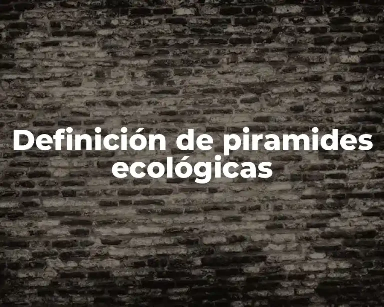 Definición de piramides ecológicas