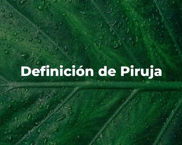Definición de Piruja