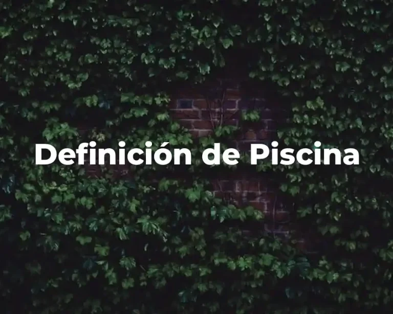 Definición de Piscina