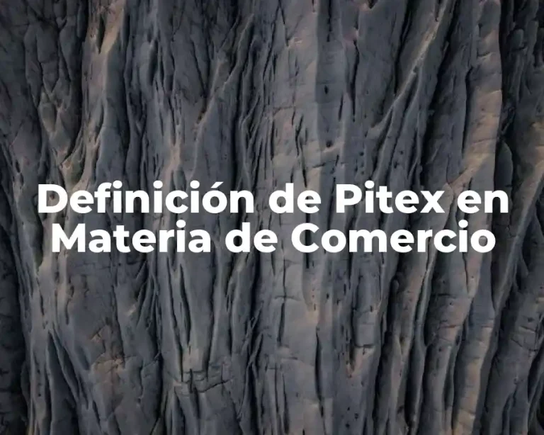 Definición de Pitex en Materia de Comercio