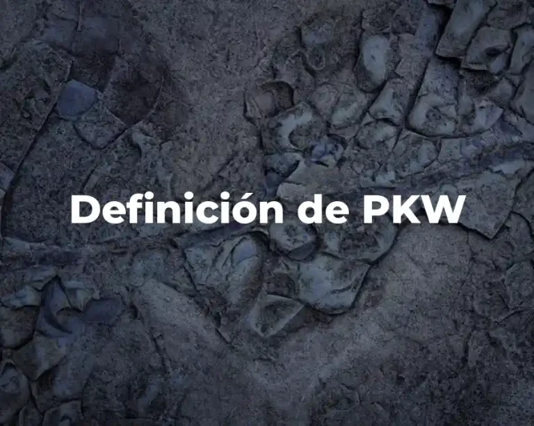 Definición de PKW