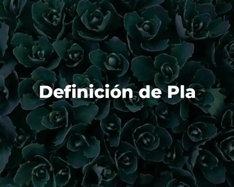 Definición de Pla