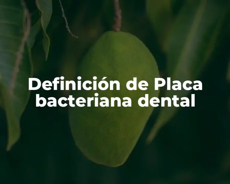 Definición de Placa bacteriana dental