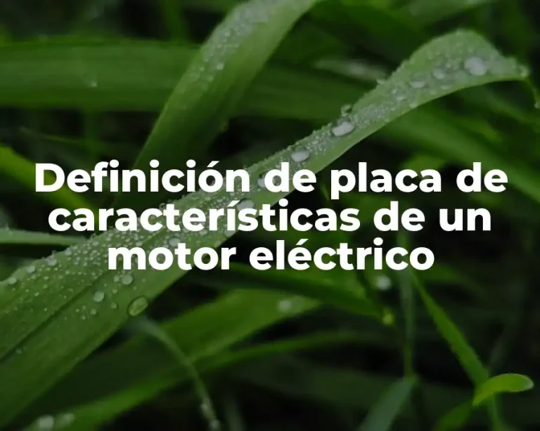 Definición de placa de características de un motor eléctrico