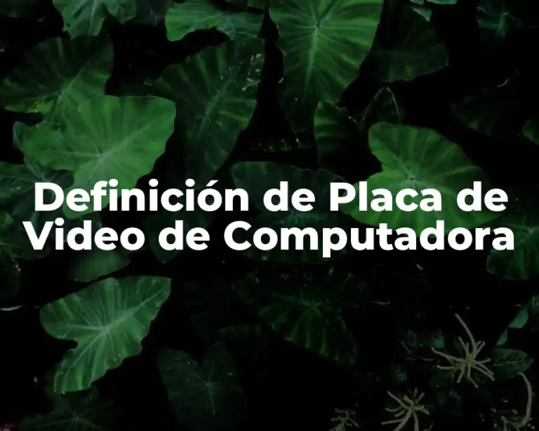 Definición de Placa de Video de Computadora