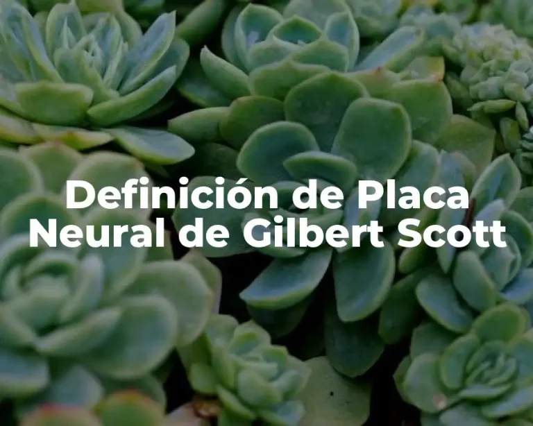 Definición de Placa Neural de Gilbert Scott