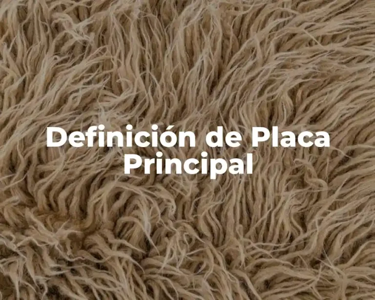 Definición de Placa Principal