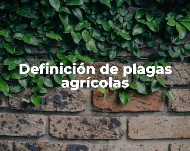 Definición de plagas agrícolas