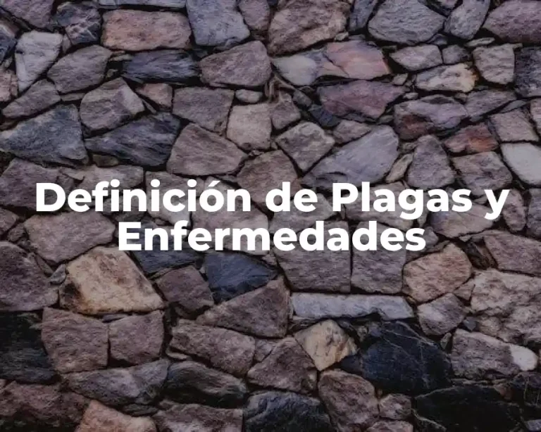 Definición de Plagas y Enfermedades