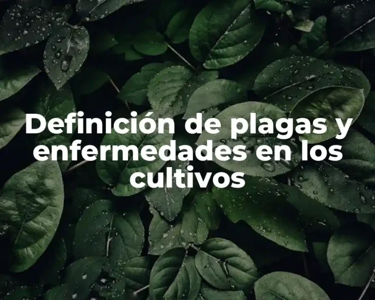 Definición de plagas y enfermedades en los cultivos