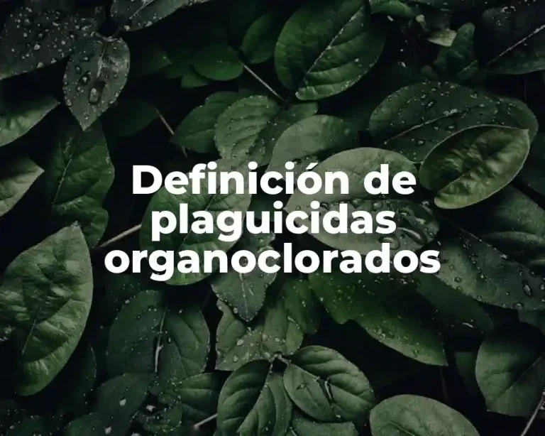 Definición de plaguicidas organoclorados