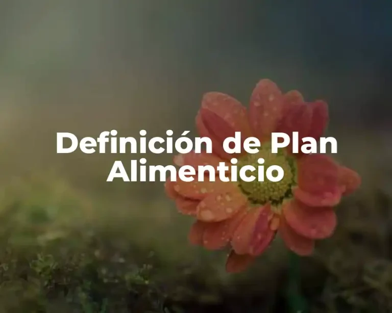 Definición de Plan Alimenticio