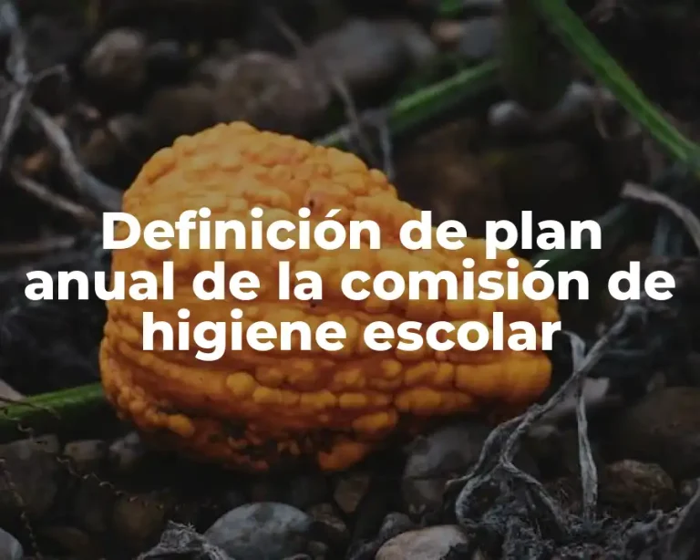 Definición de plan anual de la comisión de higiene escolar