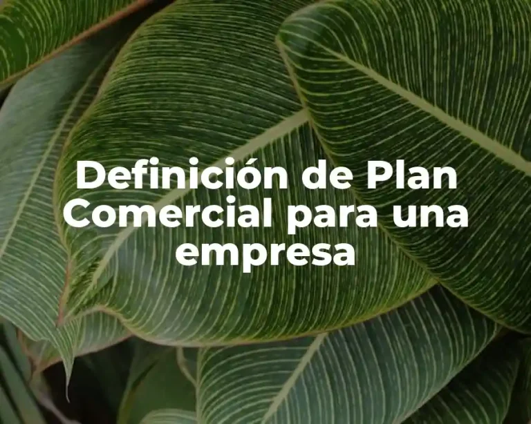 Definición de Plan Comercial para una empresa