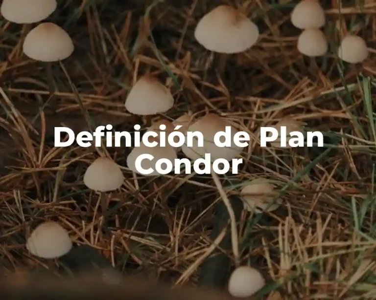 Definición de Plan Condor