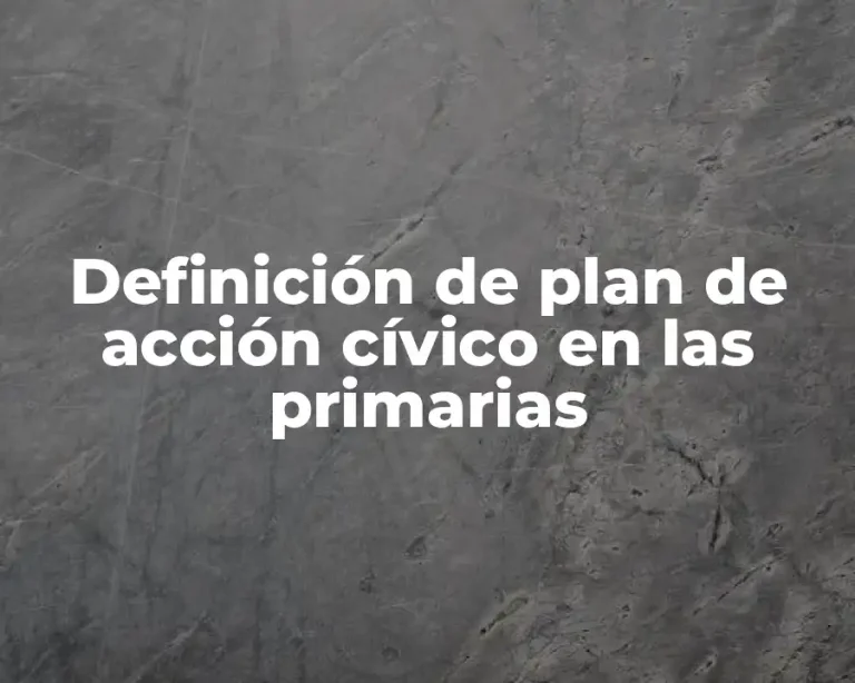 Definición de plan de acción cívico en las primarias