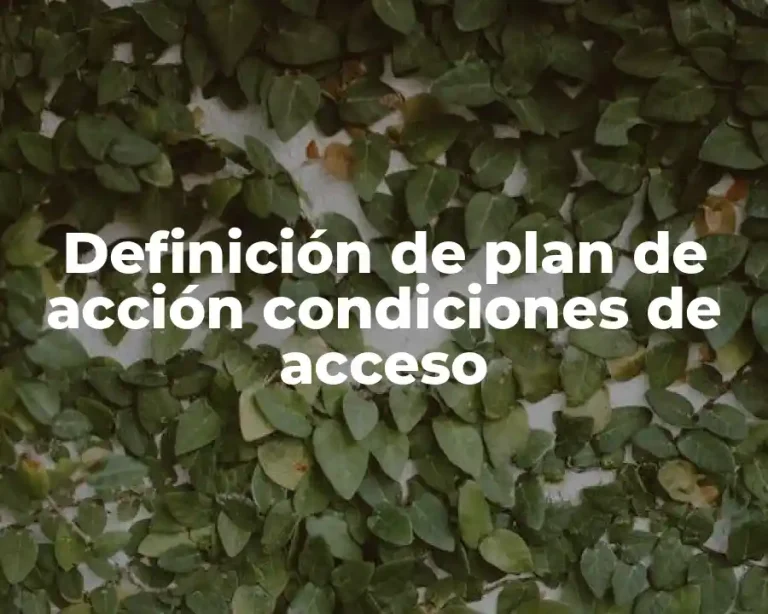 Definición de plan de acción condiciones de acceso