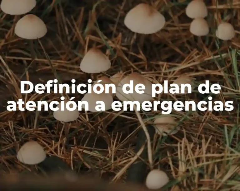 Definición de plan de atención a emergencias