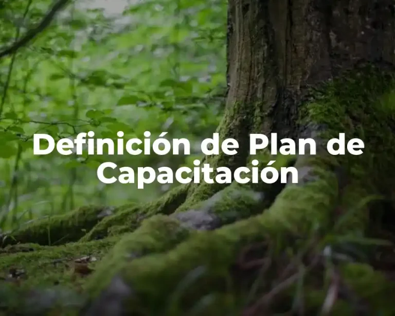 Definición de Plan de Capacitación