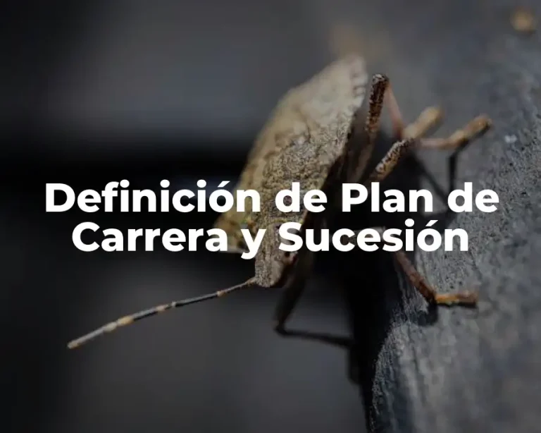 Definición de Plan de Carrera y Sucesión