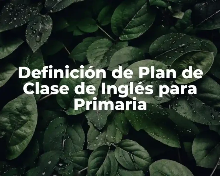 Definición de Plan de Clase de Inglés para Primaria