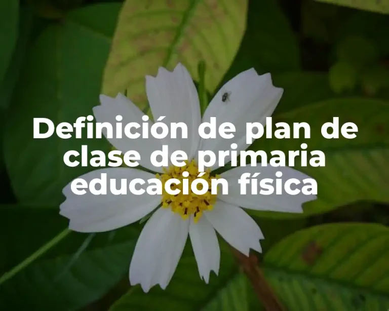 Definición de plan de clase de primaria educación física