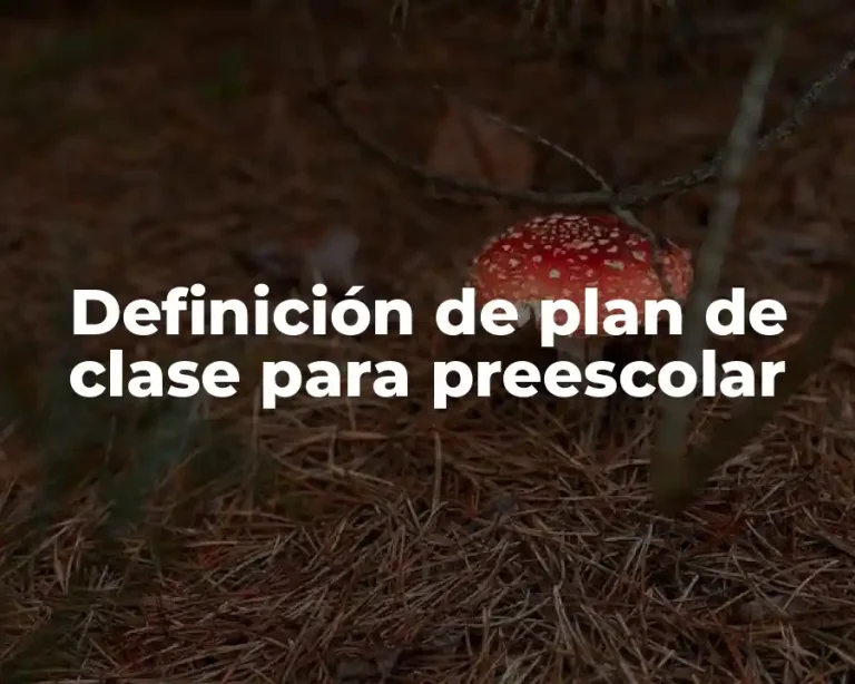 Definición de plan de clase para preescolar
