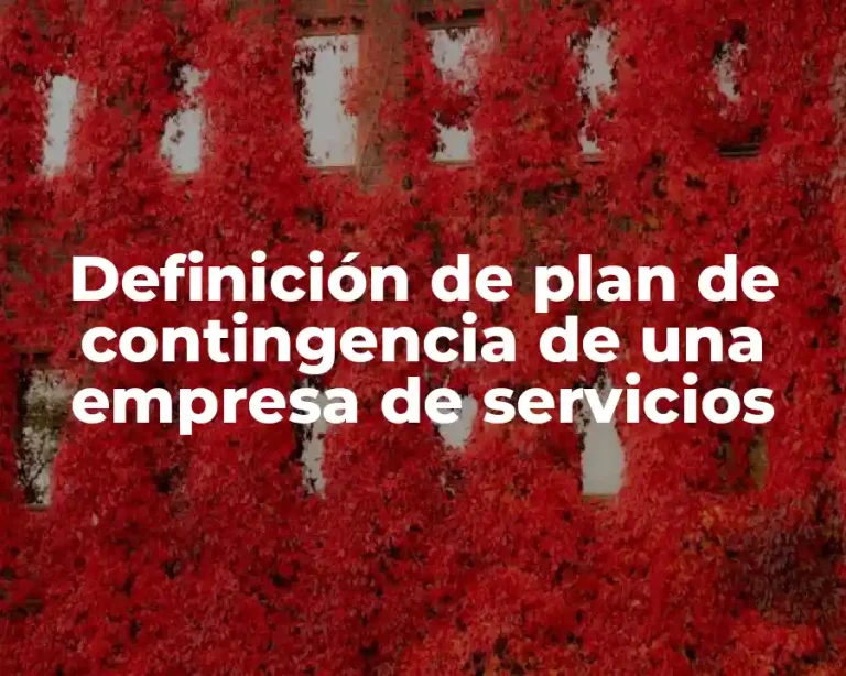Definición de plan de contingencia de una empresa de servicios
