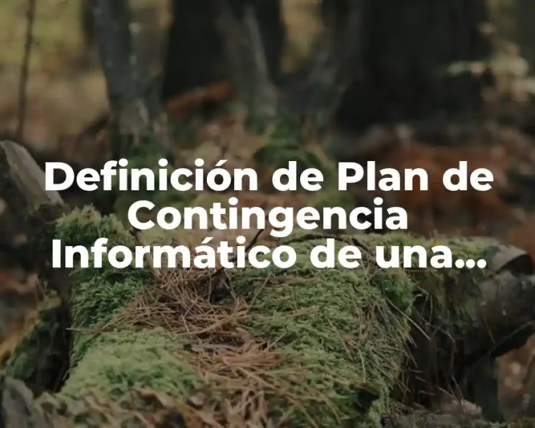 Definición de Plan de Contingencia Informático de una Empresa