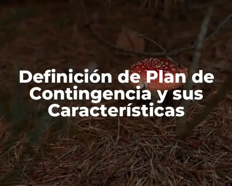 Definición de Plan de Contingencia y sus Características