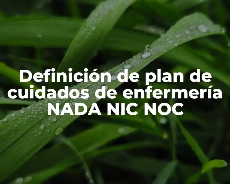 Definición de plan de cuidados de enfermería NADA NIC NOC