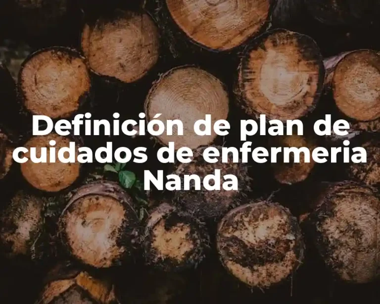 Definición de plan de cuidados de enfermeria Nanda