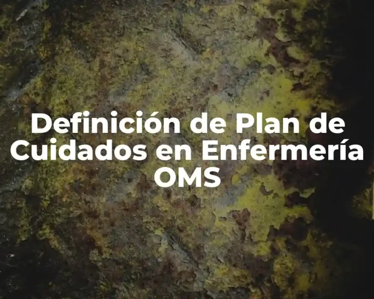 Definición de Plan de Cuidados en Enfermería OMS