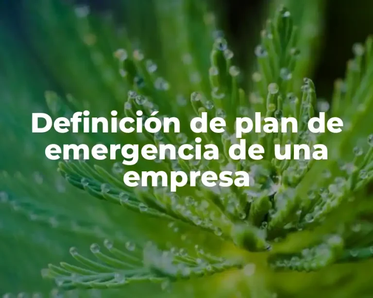 Definición de plan de emergencia de una empresa
