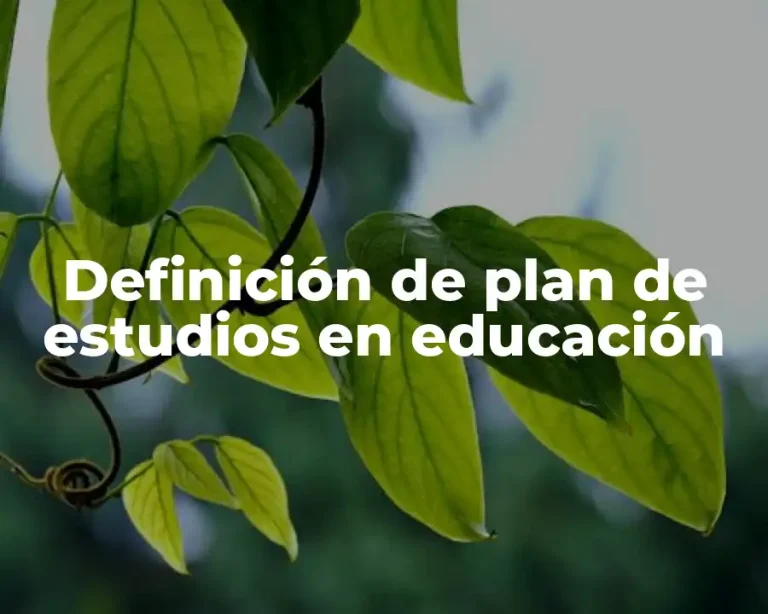 Definición de plan de estudios en educación