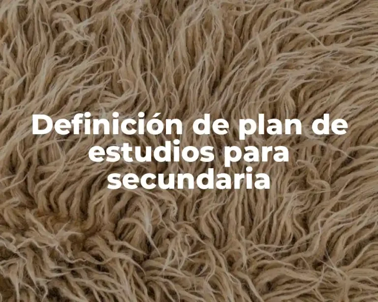 Definición de plan de estudios para secundaria