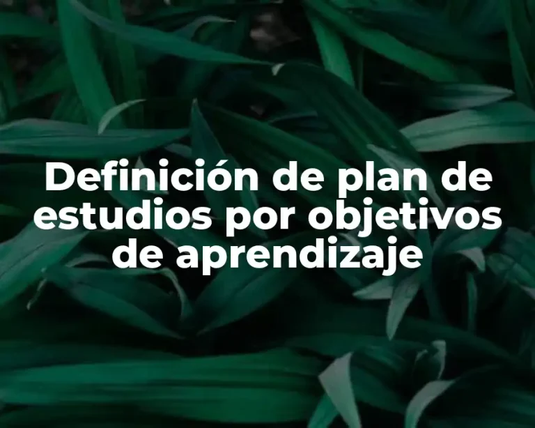 Definición de plan de estudios por objetivos de aprendizaje
