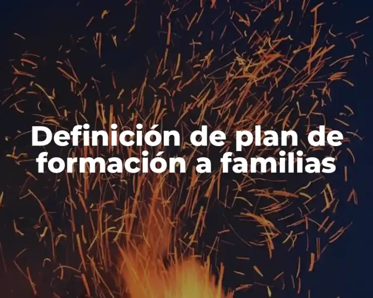 Definición de plan de formación a familias