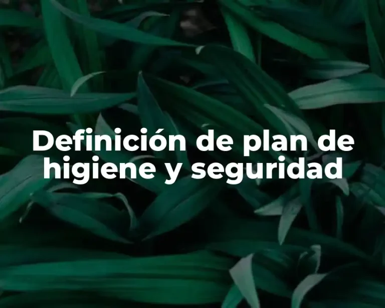 Definición de plan de higiene y seguridad