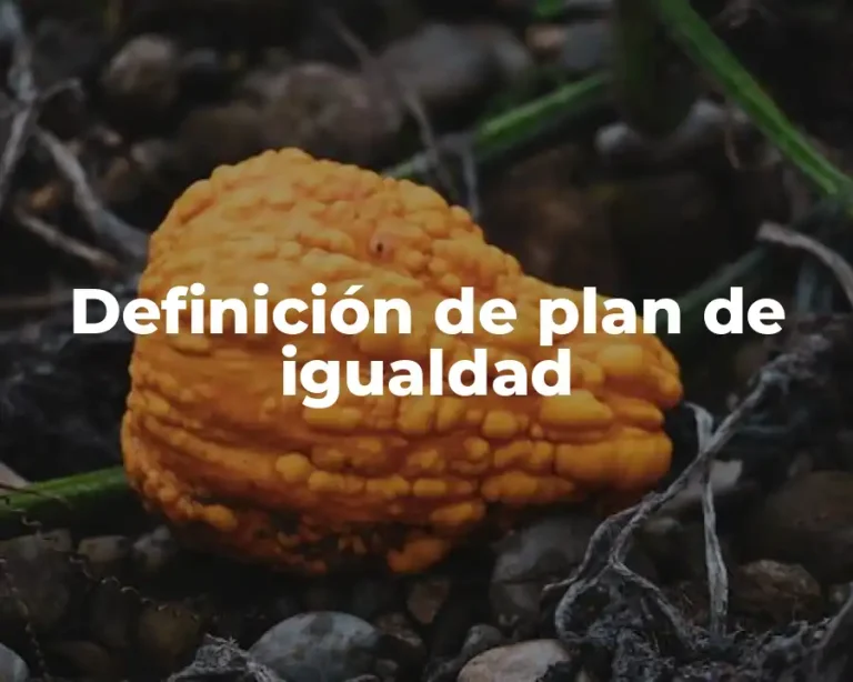 Definición de plan de igualdad