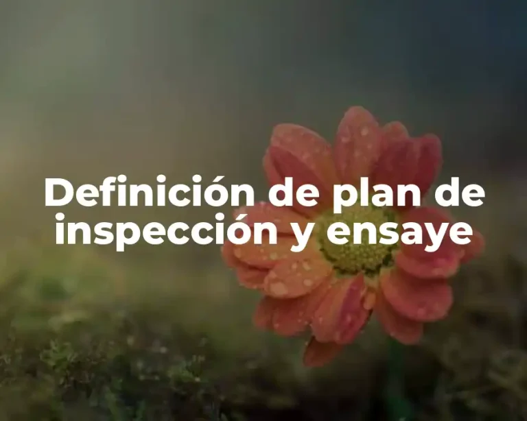 Definición de plan de inspección y ensaye