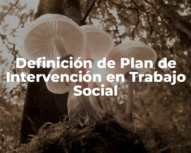 Definición de Plan de Intervención en Trabajo Social