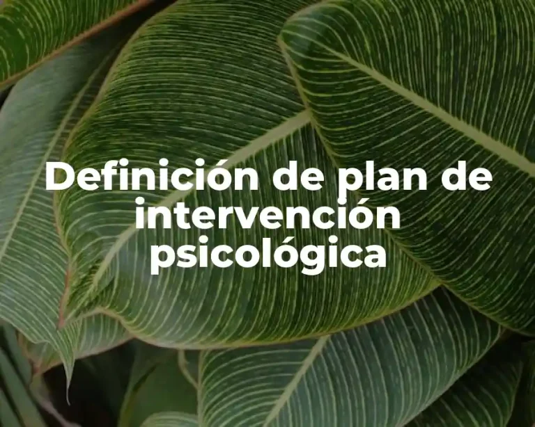 Definición de plan de intervención psicológica