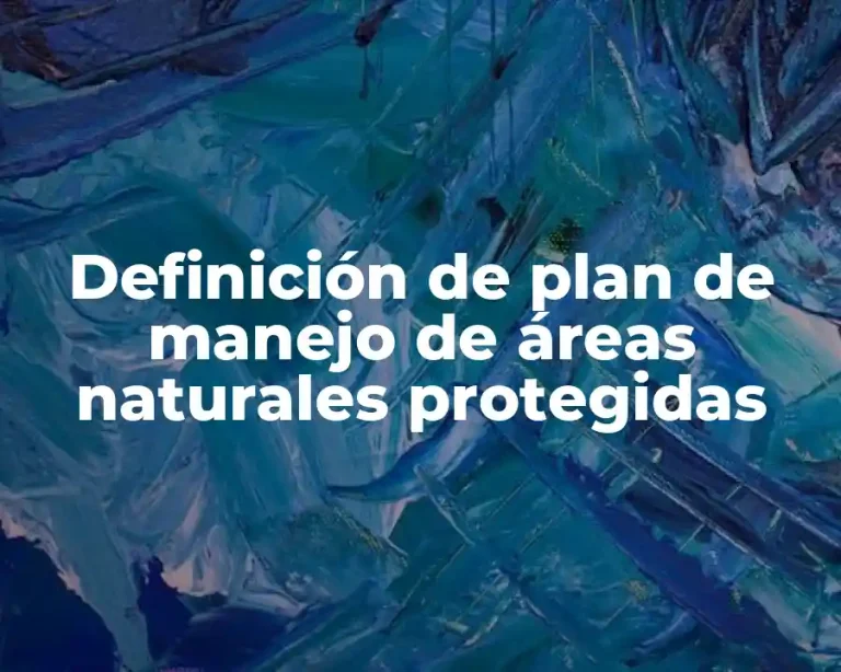 Definición de plan de manejo de áreas naturales protegidas
