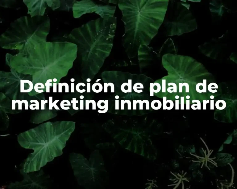Definición de plan de marketing inmobiliario