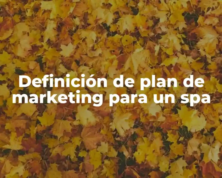 Definición de plan de marketing para un spa