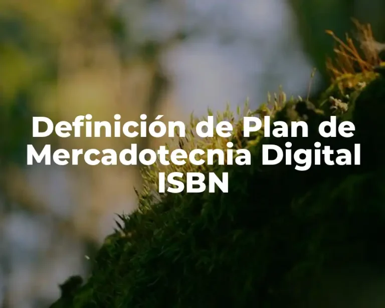 Definición de Plan de Mercadotecnia Digital ISBN