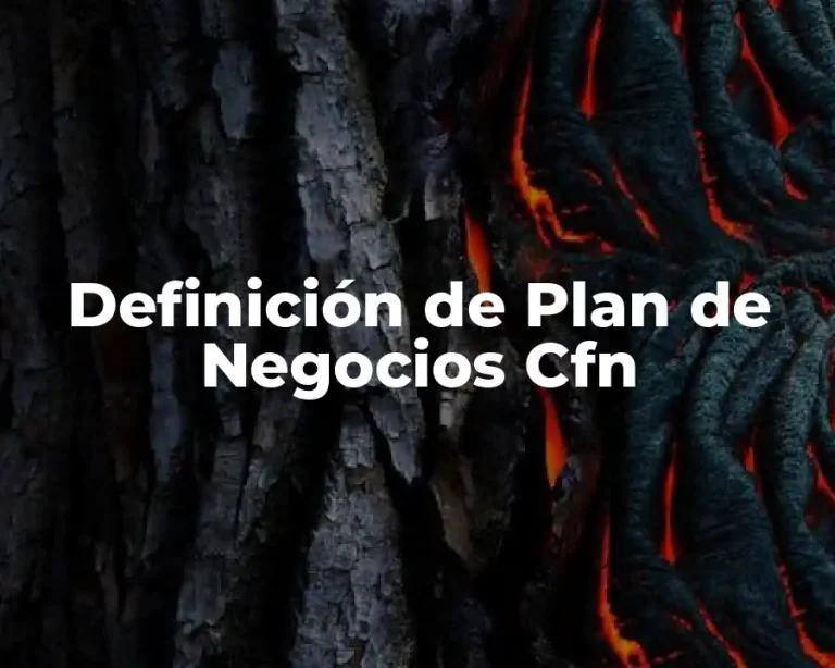 Definición de Plan de Negocios Cfn