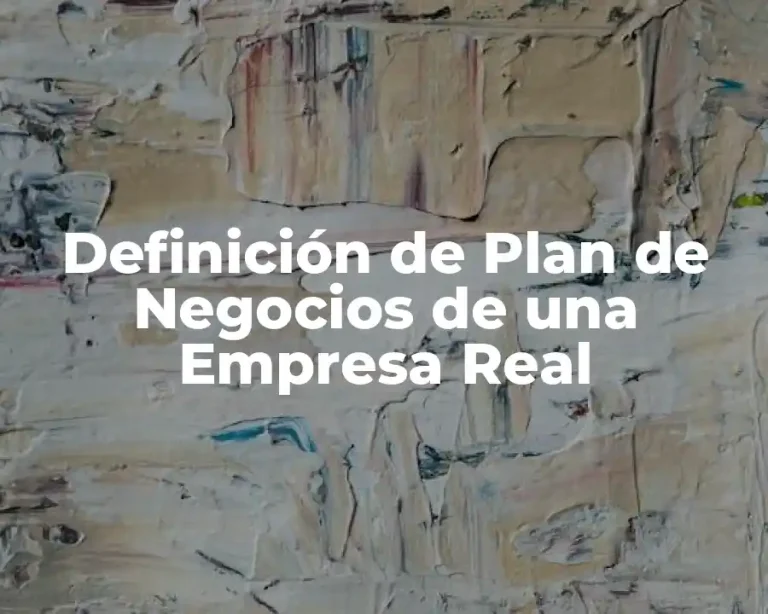 Definición de Plan de Negocios de una Empresa Real