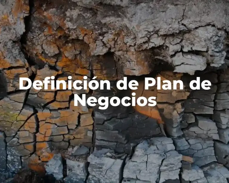 Definición de Plan de Negocios
